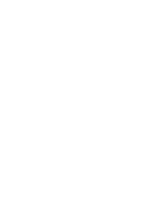 Q Wellness Logo